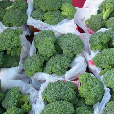 Individual Quick Frozen Broccoli/ Broccoli For Sale