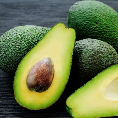 High Quality Farm Fresh Avocado From South Africa