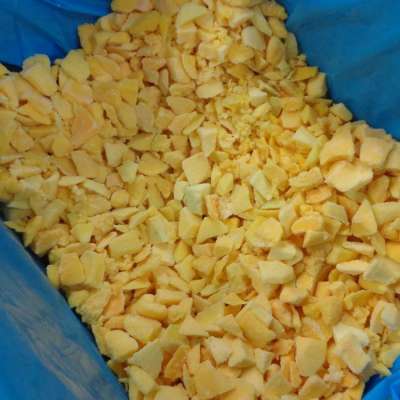 IQF Diced Mango / Freeze Dried Mango from South Africa